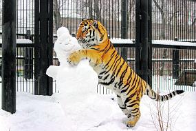 Как обитатели&hellip;